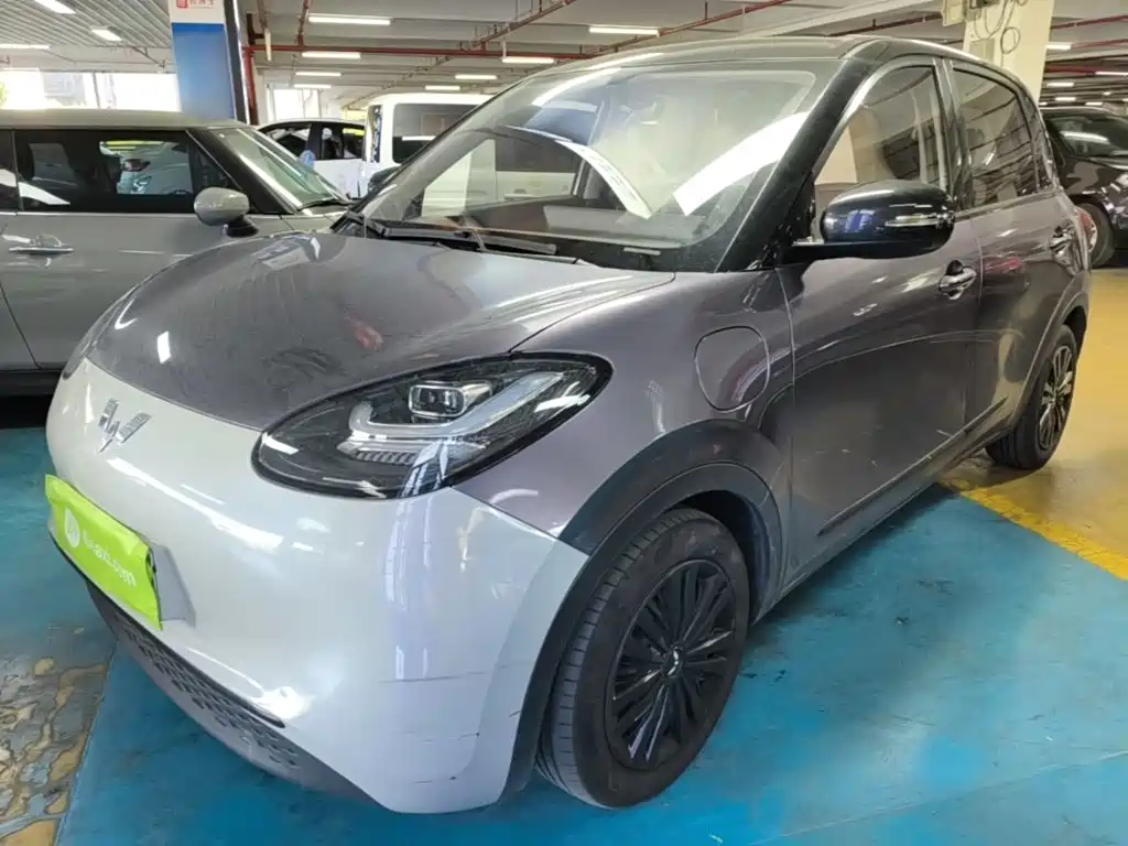 Wuling Binguo