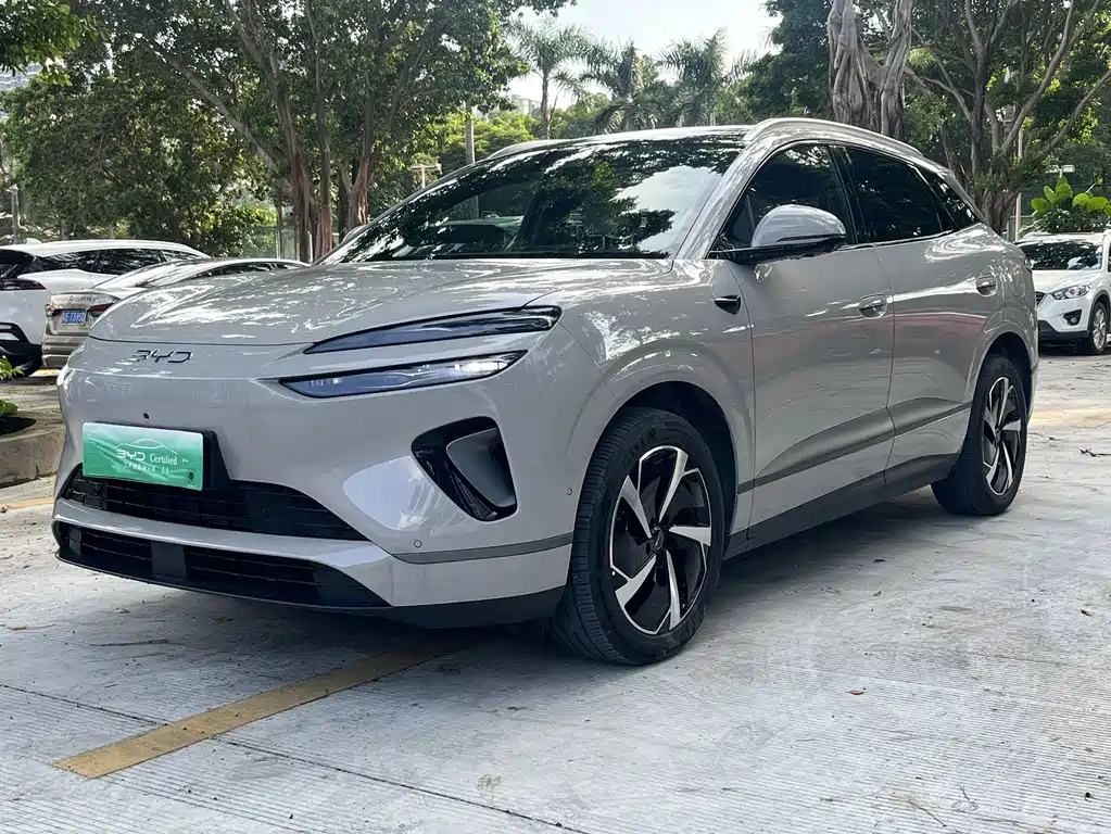 BYD Sea Lion 06