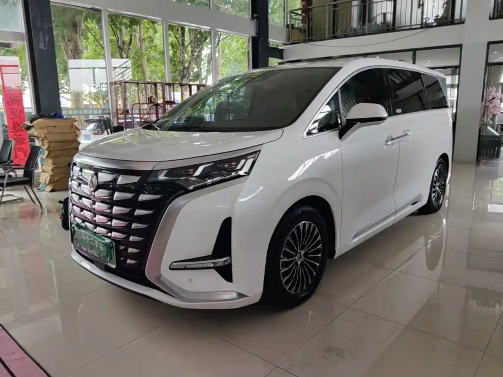 Denza D9