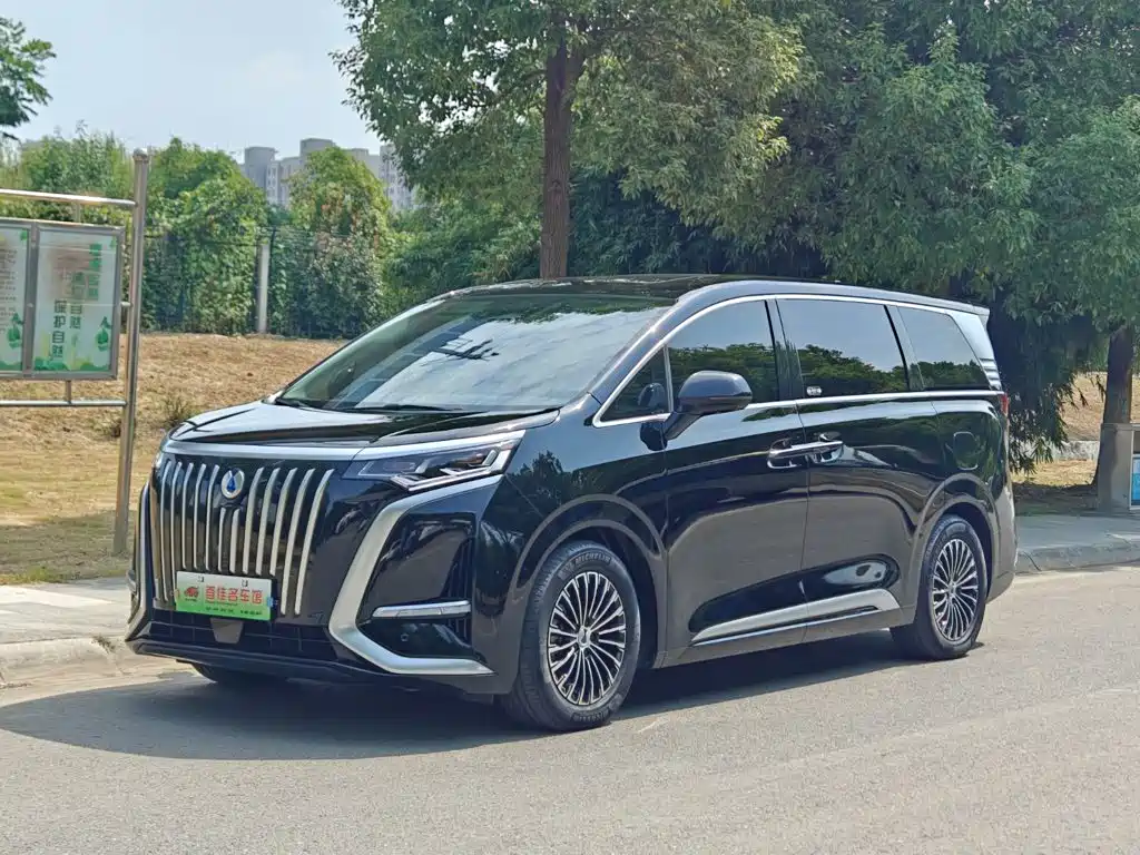 Denza D9