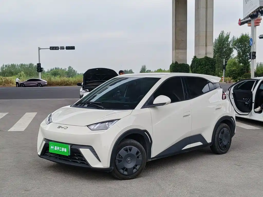 BYD Seagull