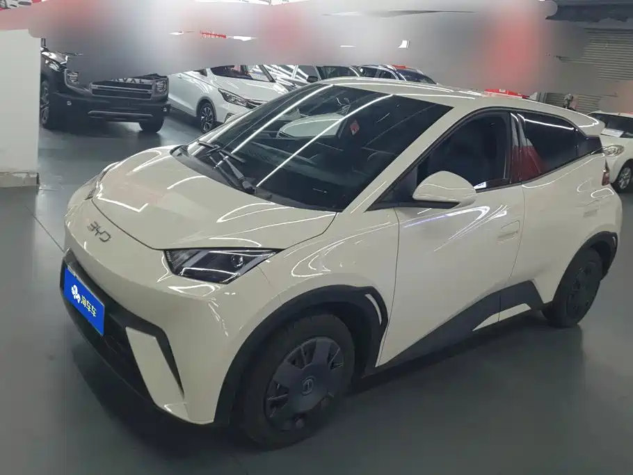 BYD Seagull