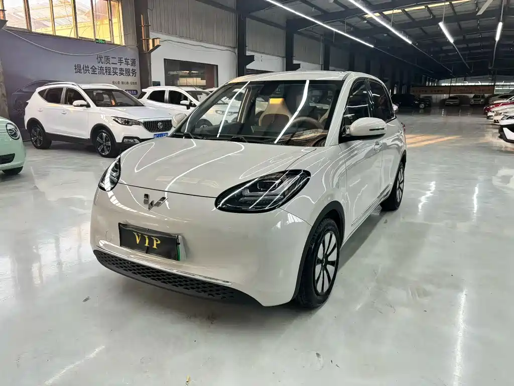 Wuling Binguo