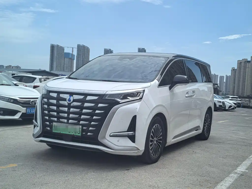 Denza D9