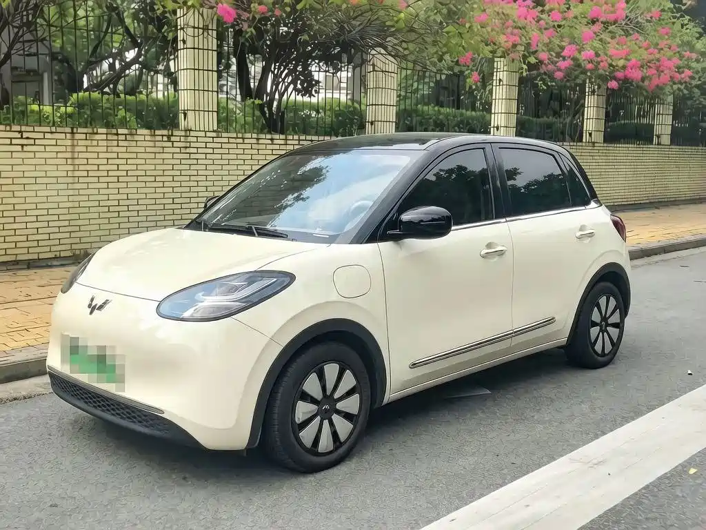 Wuling Binguo