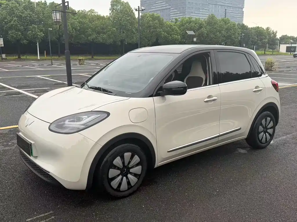 Wuling Binguo