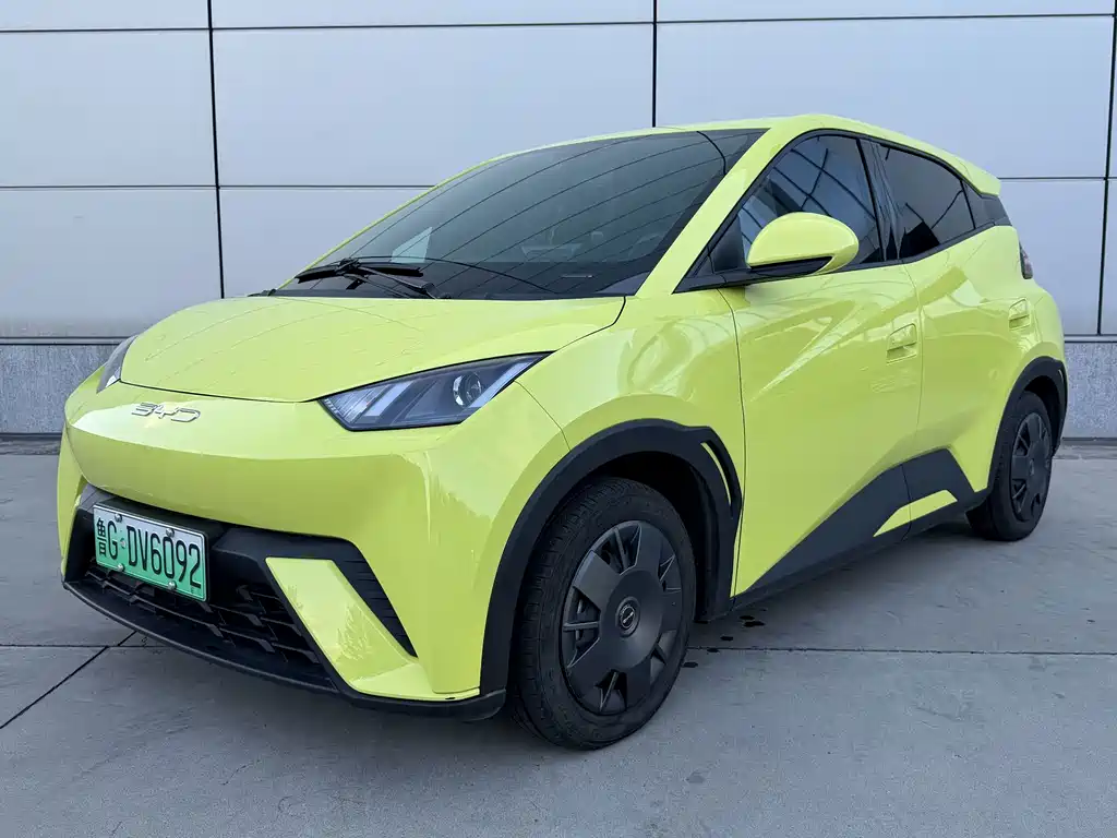 BYD Seagull