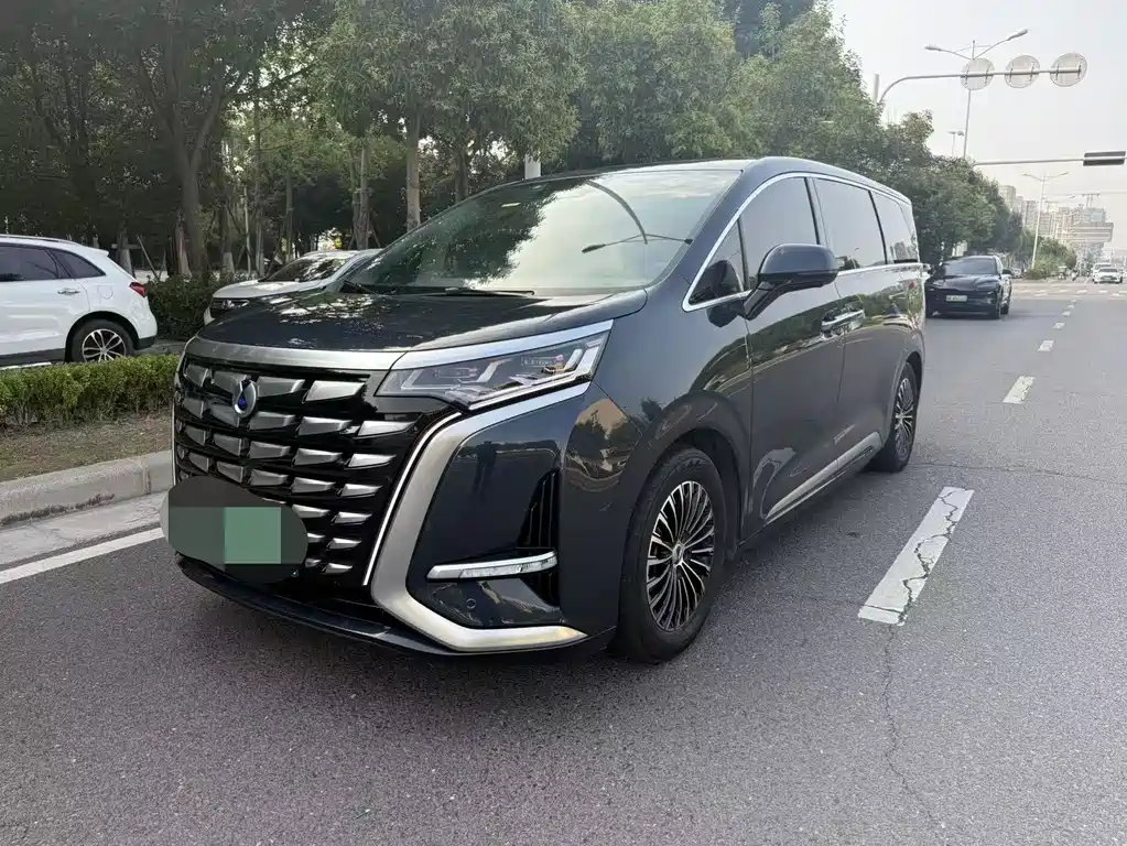 Denza D9