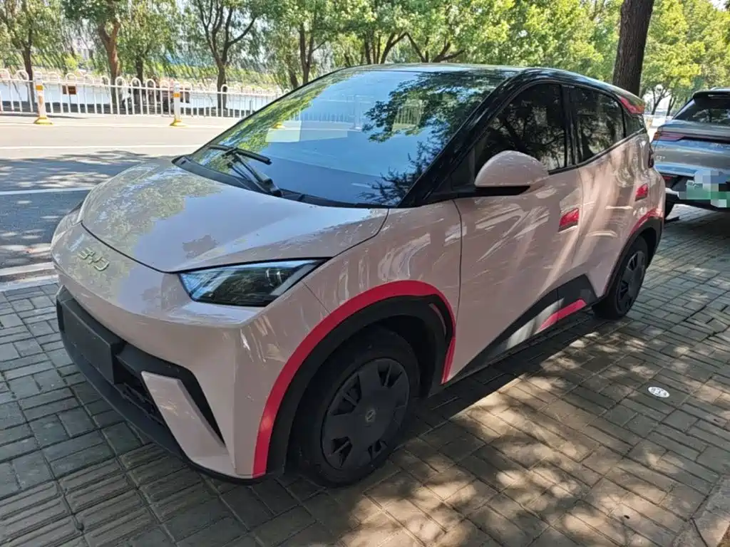 BYD Seagull