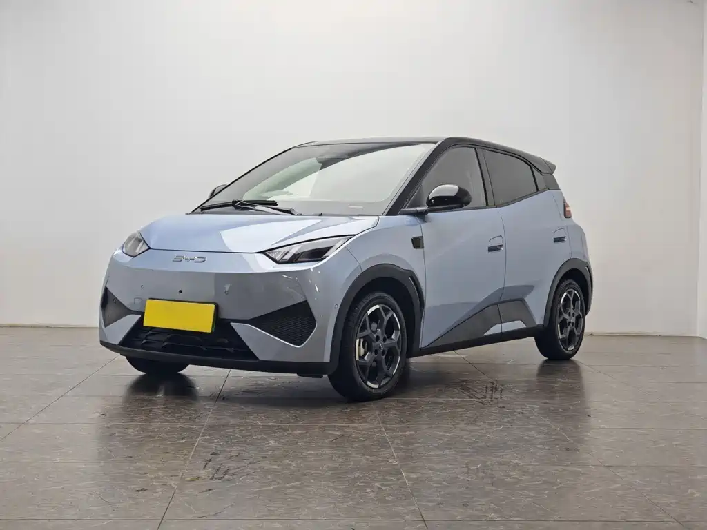 BYD Seagull
