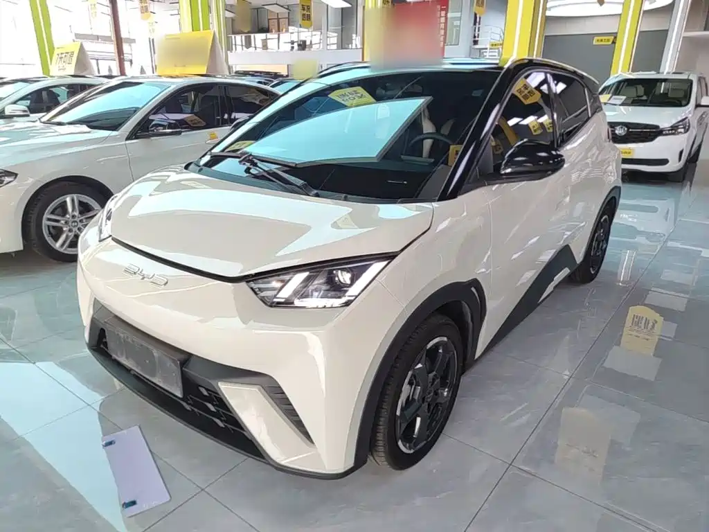BYD Seagull