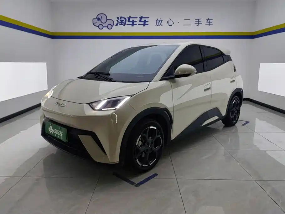 BYD Seagull