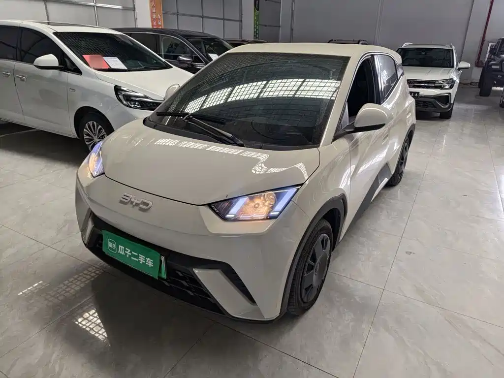 BYD Seagull