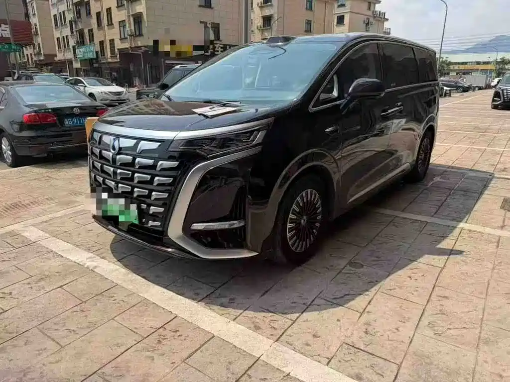 Denza D9