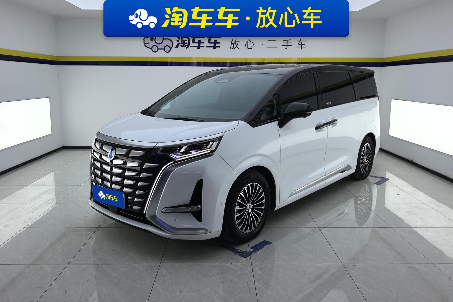 Denza D9