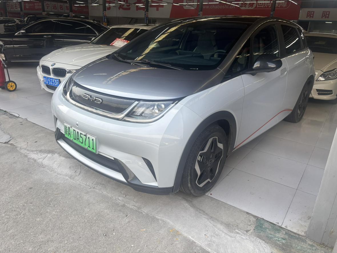 BYD Dolphin