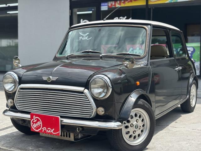 Rover Mini