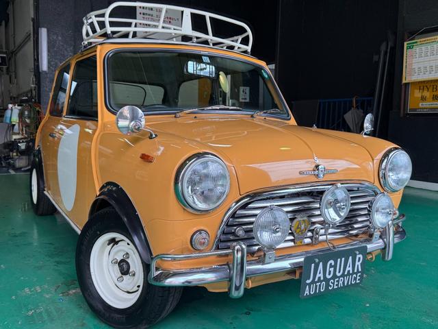 Rover Mini