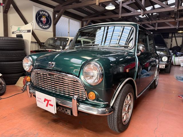 Rover Mini