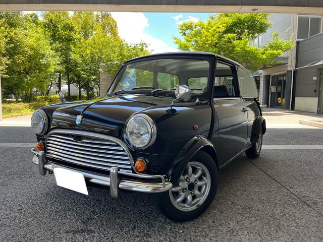 Rover Mini