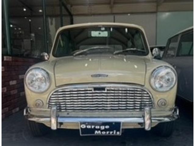 Rover Mini