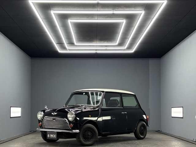 Rover Mini