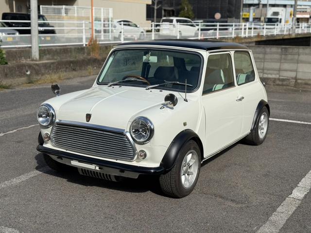 Rover Mini