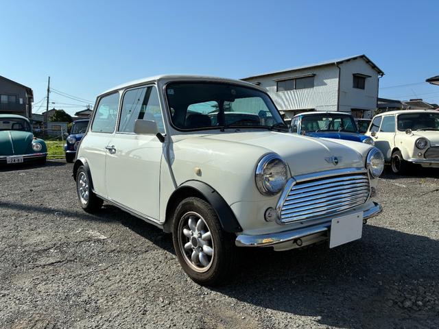 Rover Mini