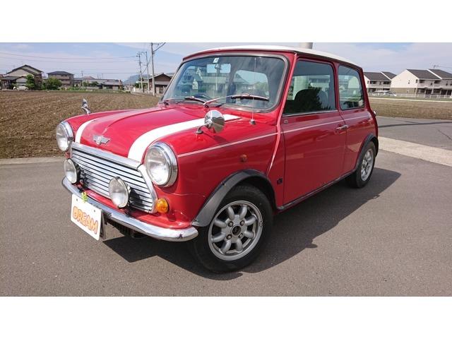 Rover Mini