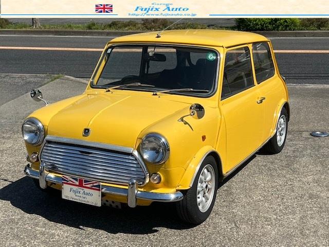 Rover Mini