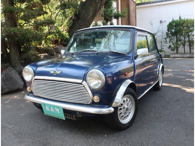 Rover Mini