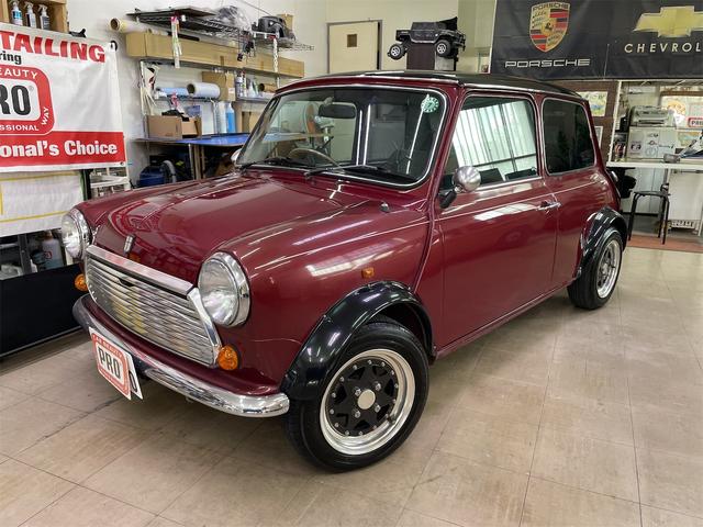 Rover Mini
