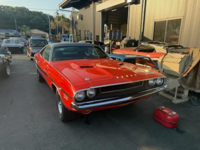 Dodge