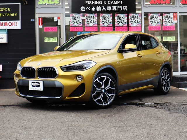 BMW X2