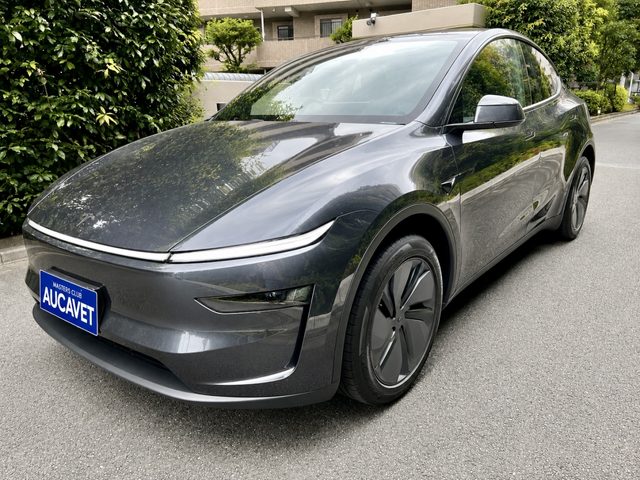 Tesla Y