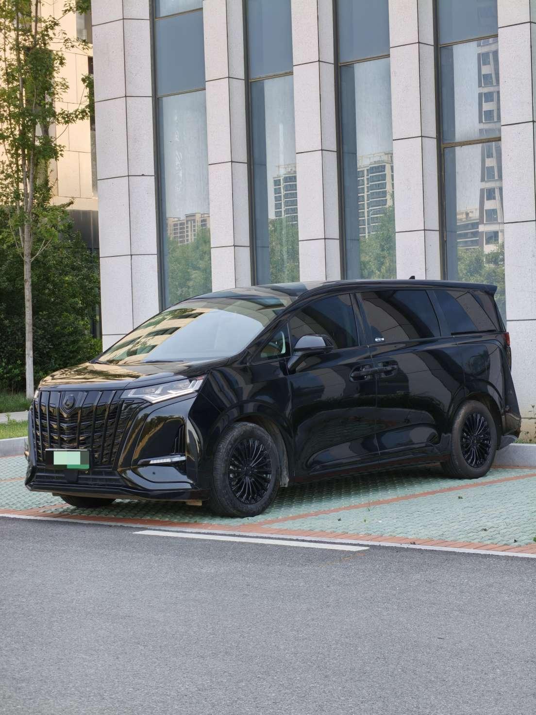 Denza D9