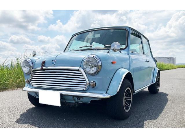 Rover Mini