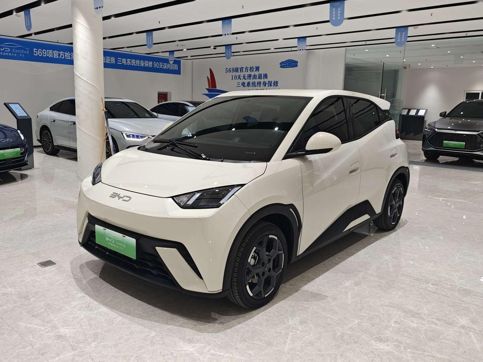 BYD Seagull