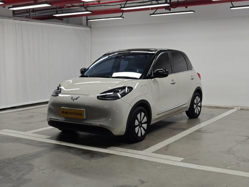 Wuling Binguo