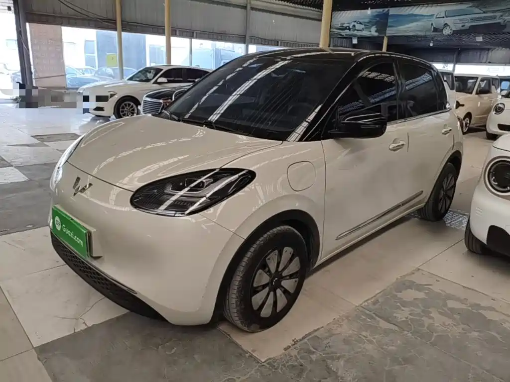 Wuling Binguo