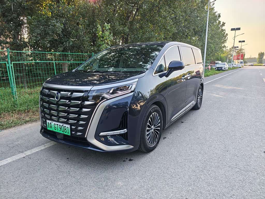 Denza D9