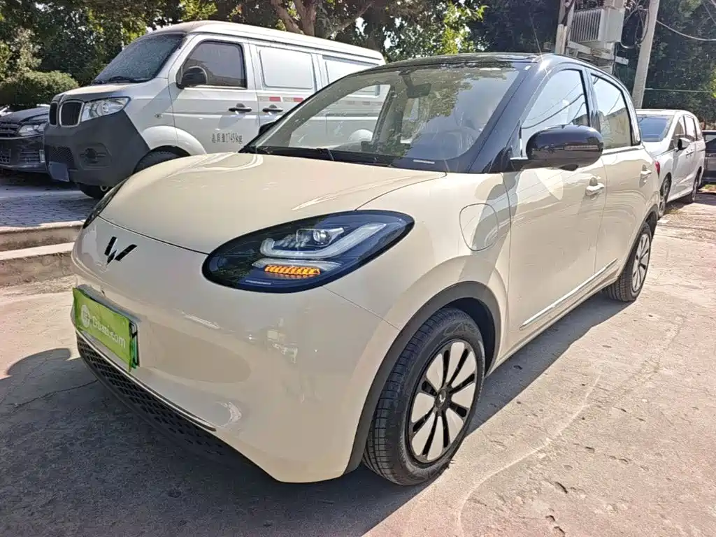 Wuling Binguo