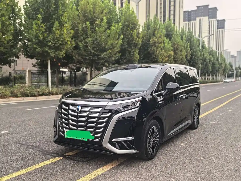 Denza D9