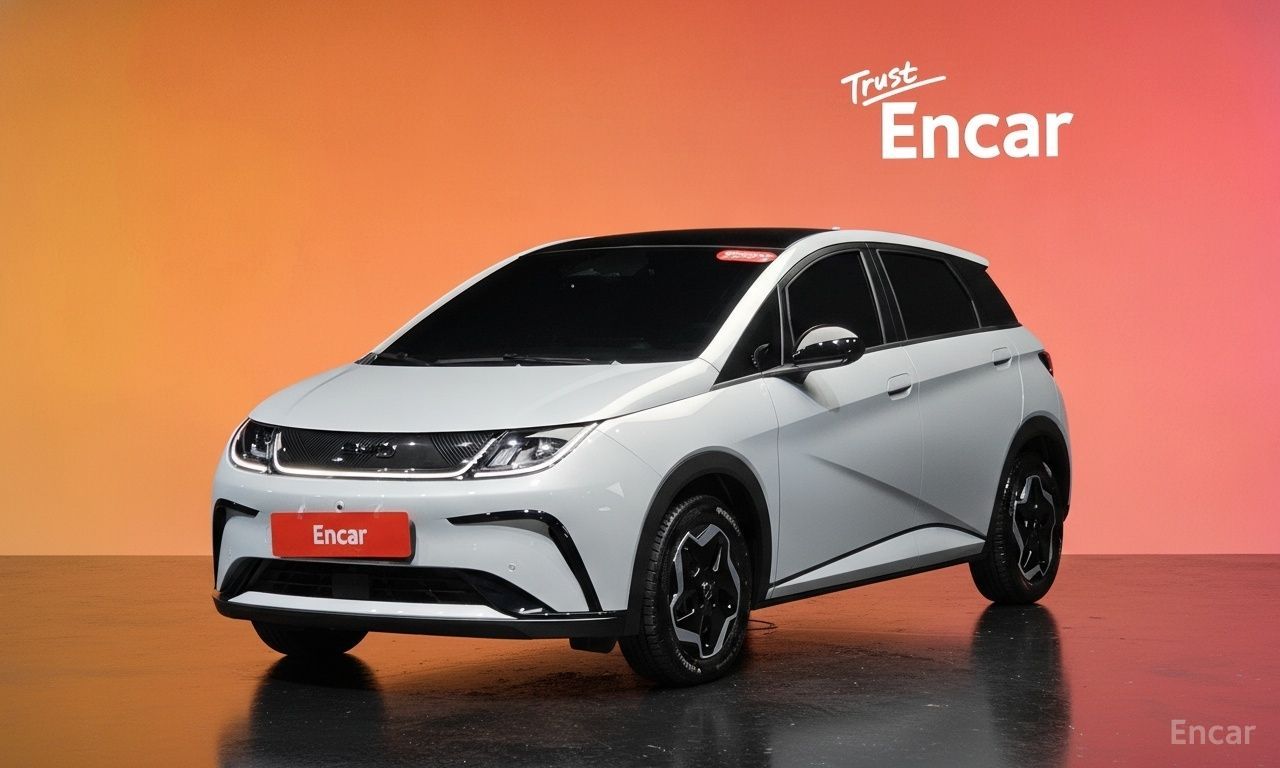 BYD Dolphin