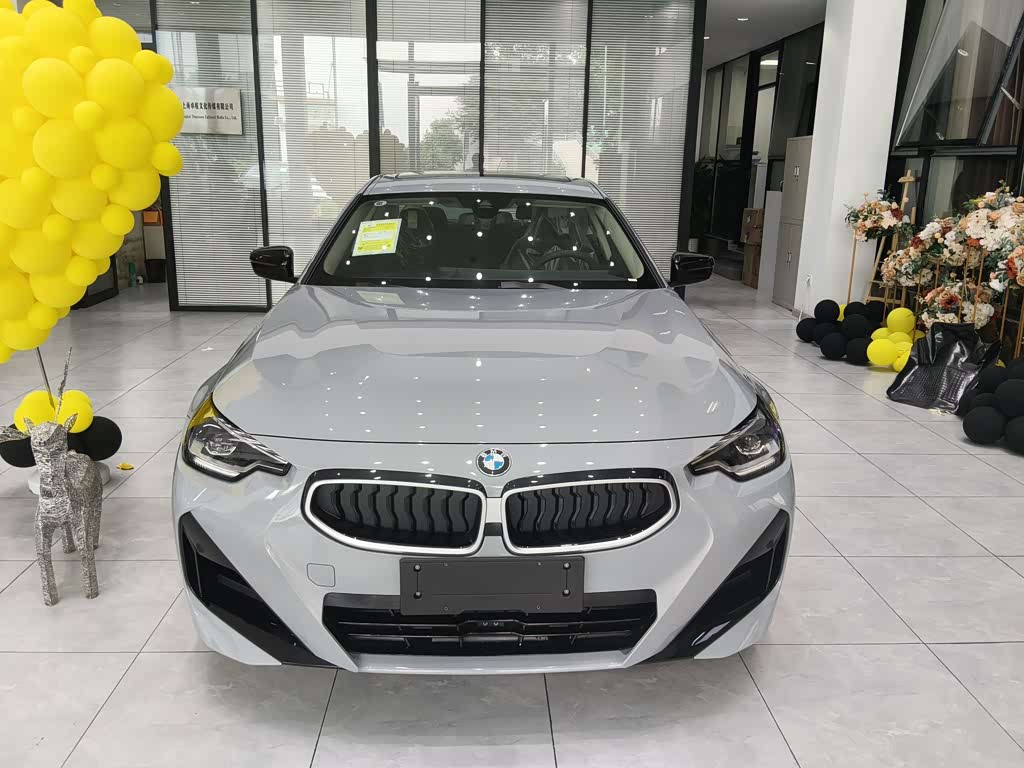 BMW 2 Series
