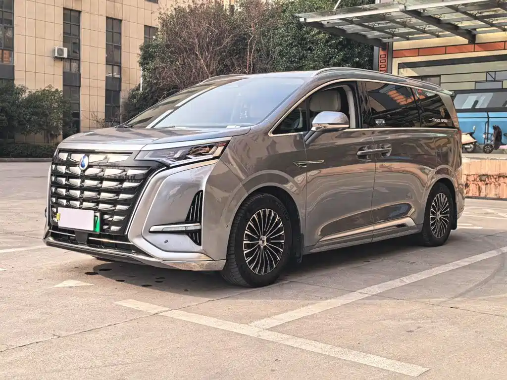 Denza D9