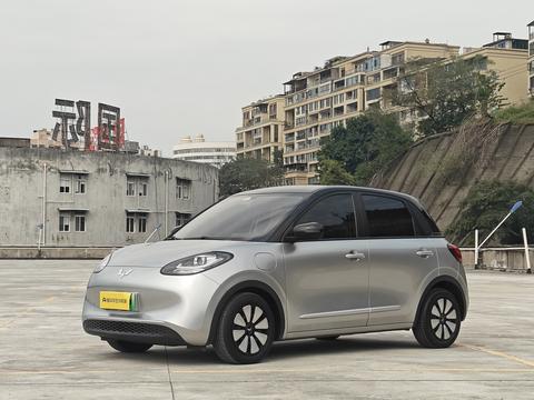 Wuling Binguo
