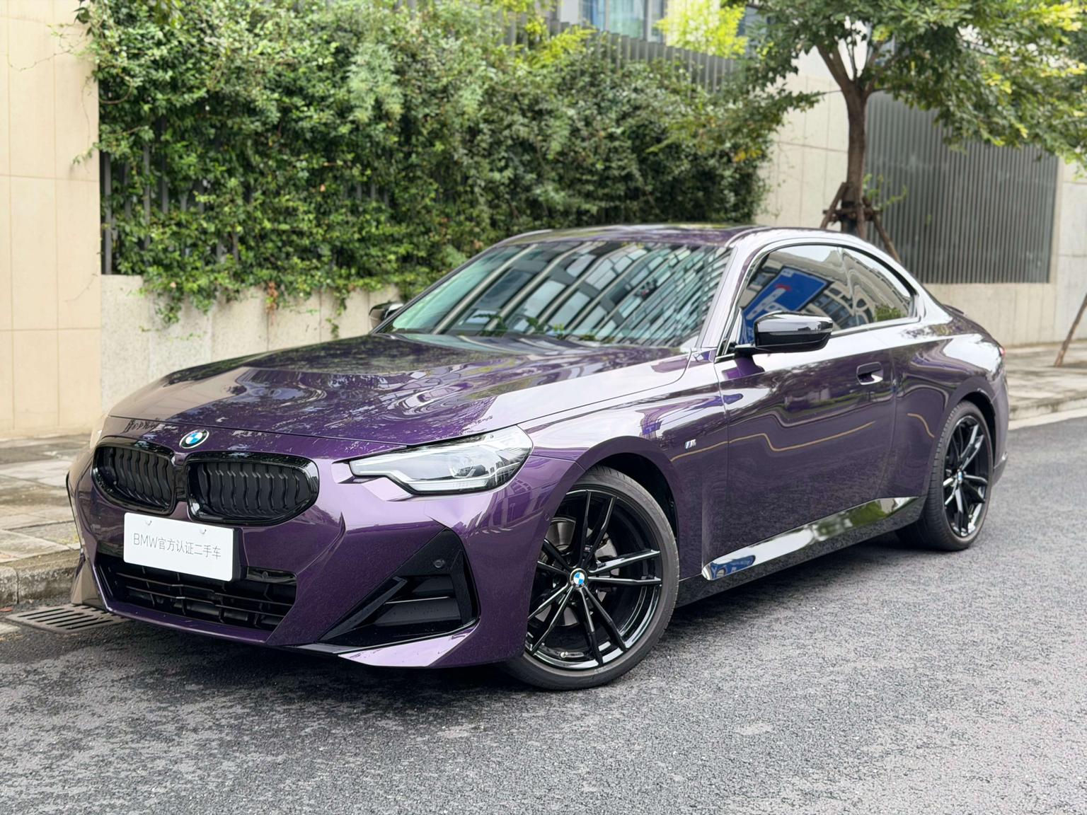 BMW 2 Series