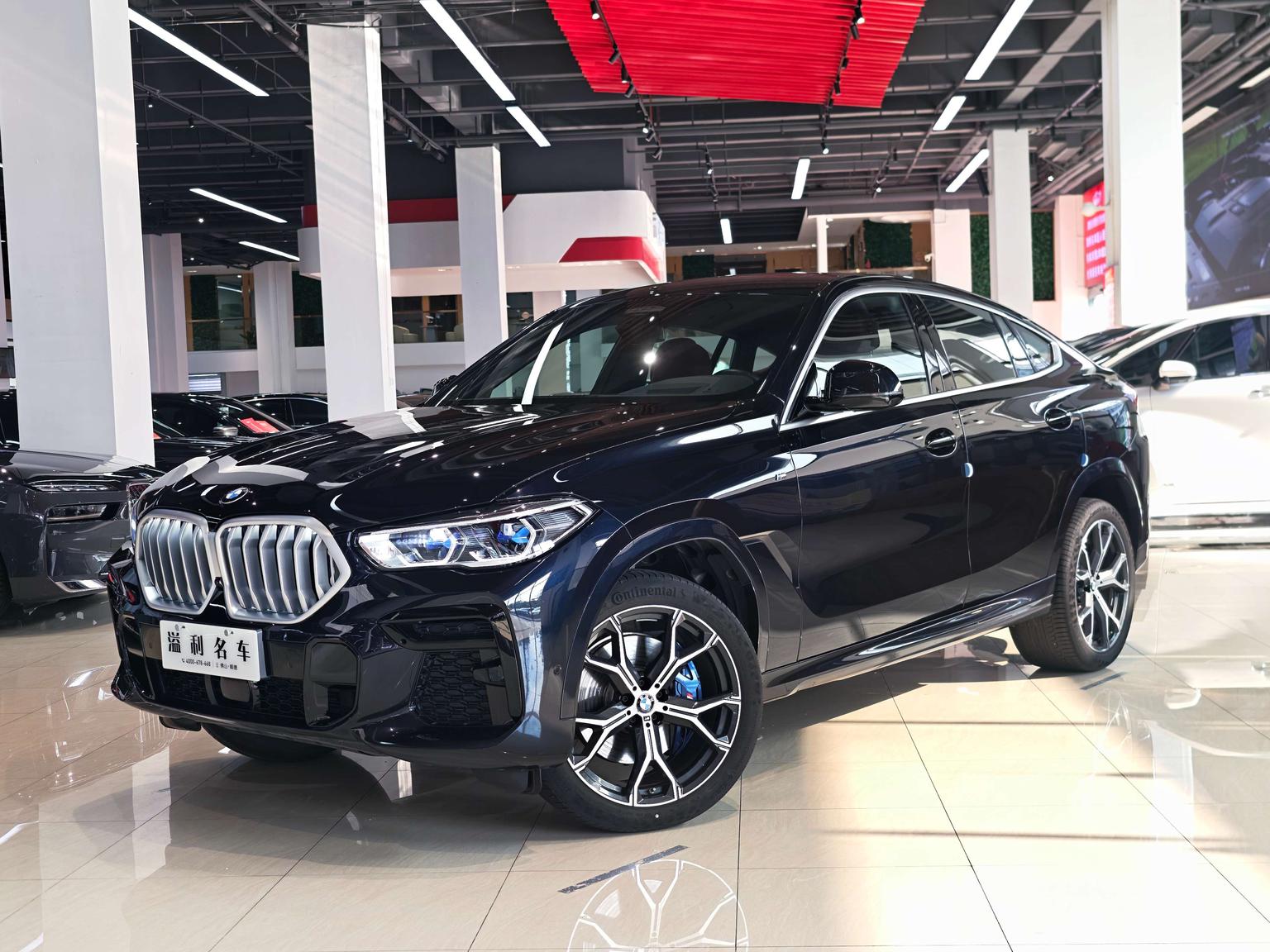 BMW X6