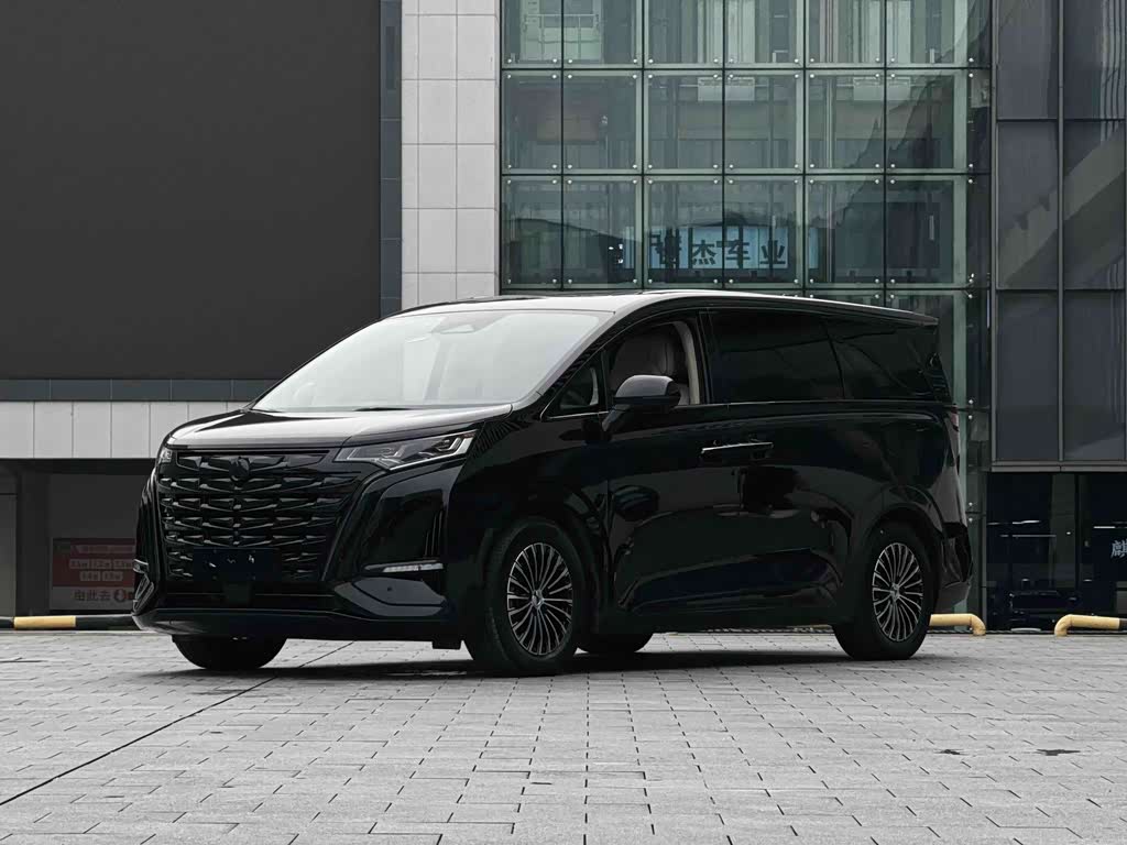 Denza D9
